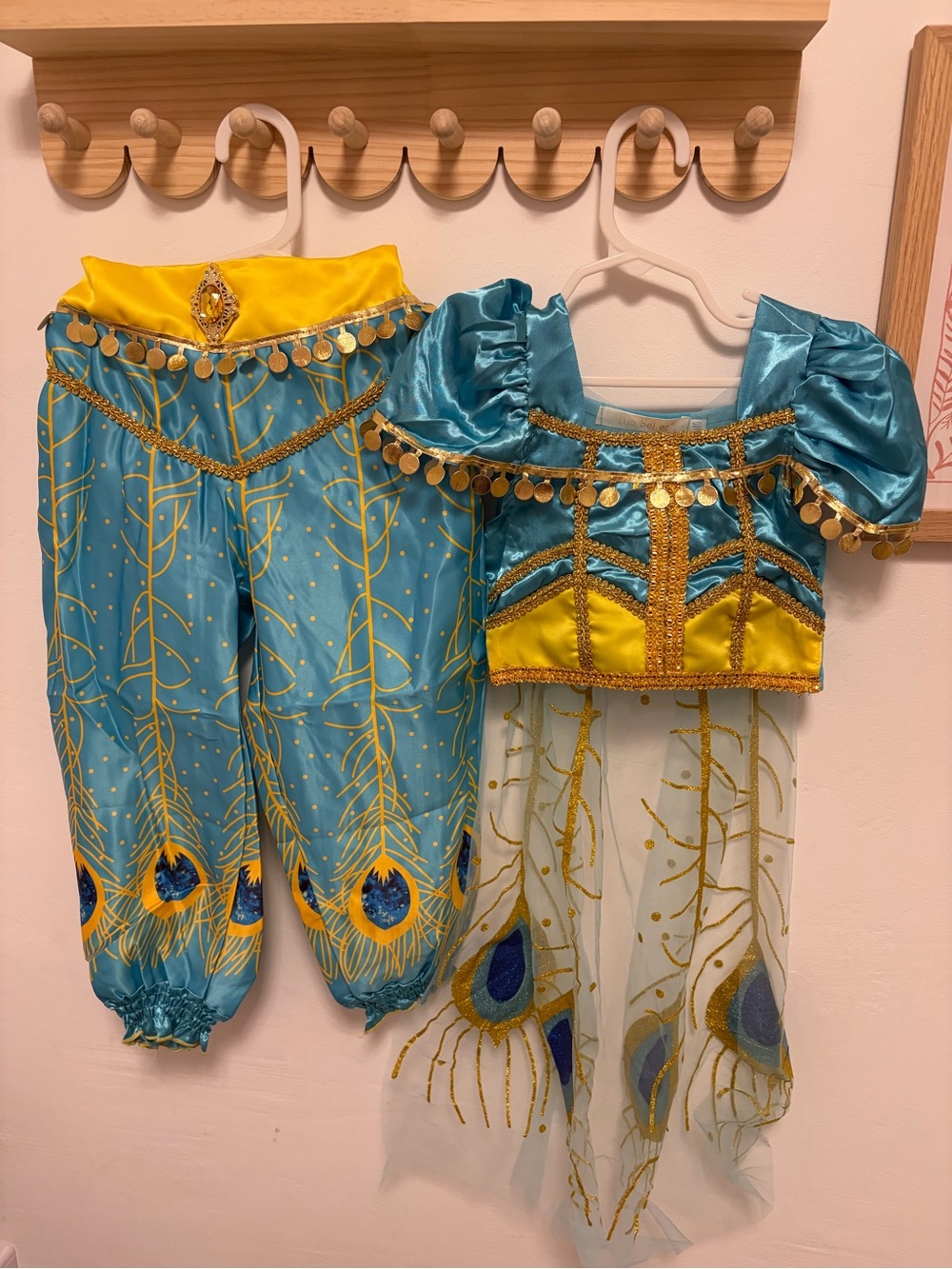 Princess Toddler Pant set